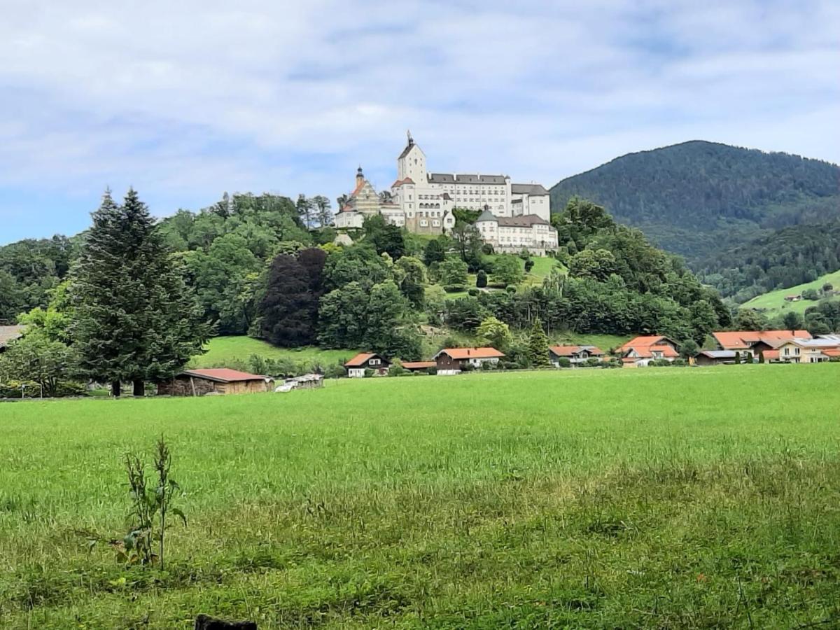 Ferienhaus Kaiserblick - Fewo2 Walchsee Eksteriør bilde
